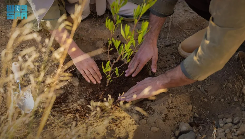 Saudi Green Initiative