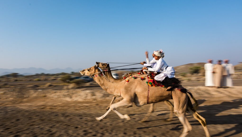 First World Camel Endurance Championship