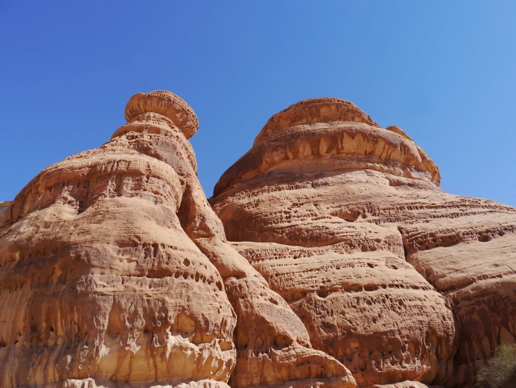 Saudi Arabia Alula